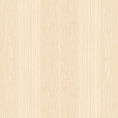 Nano Vitrified Tiles