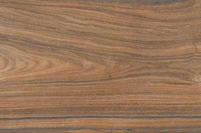 Digital Wall Tiles