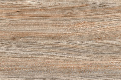 Digital Wall Tiles