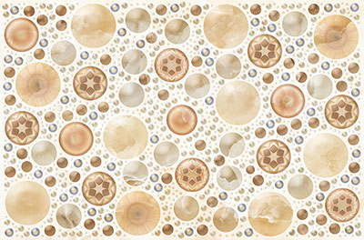 Digital Wall Tiles