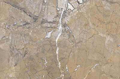 Digital Wall Tiles