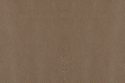 Digital Wall Tiles